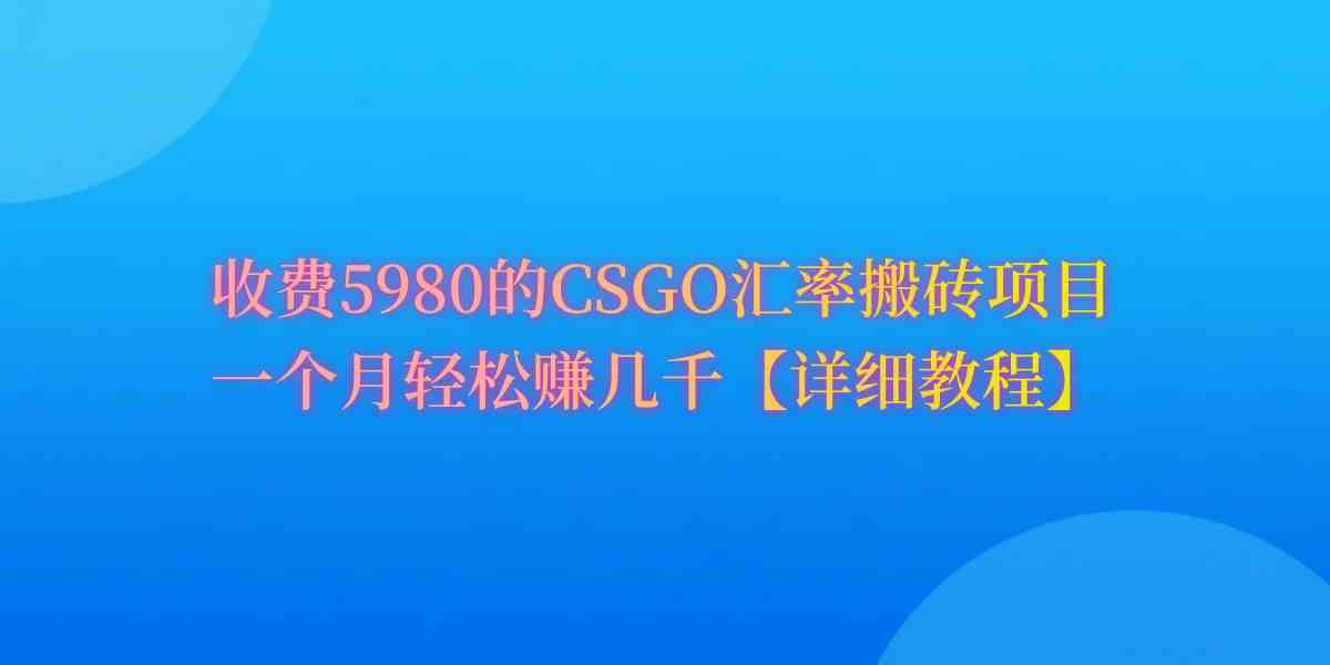 （9776期）CSGO装备搬砖，月综合收益率高达60%，你也可以！-飞哥网创