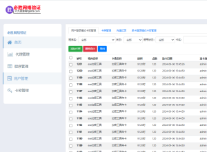 EXE应用程序加网络卡密验证系统-验证端php源码-可代搭建-飞哥网创